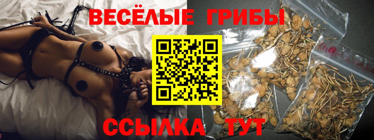 Псилоцибиновые грибы Cubensis  где найти   Коломна  Вход с VPN 